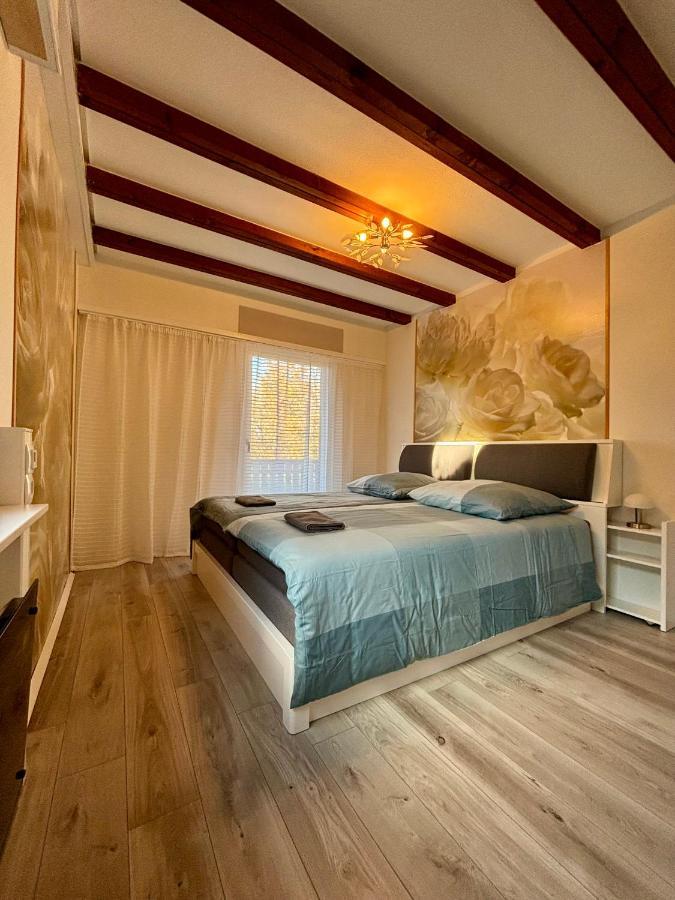 Ferienhaus Veronika Odenwald Brensbach エクステリア 写真