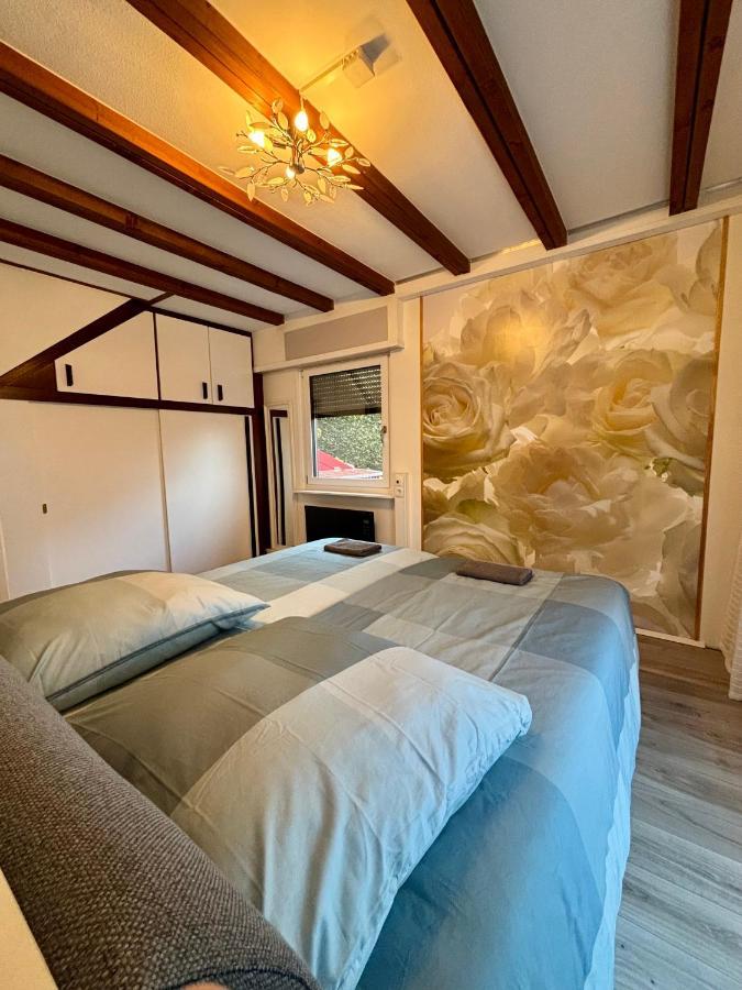 Ferienhaus Veronika Odenwald Brensbach エクステリア 写真